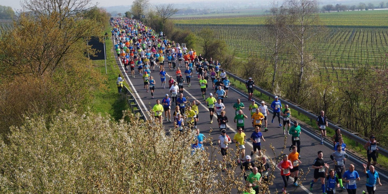 Marathon Deutsche Weinstrasse in Bockenheim